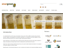 Tablet Screenshot of energreenproject.com